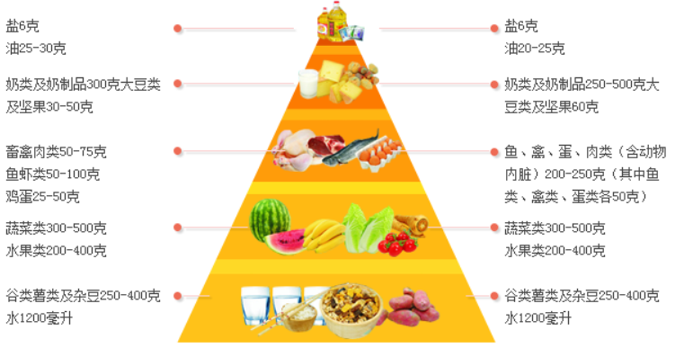 营养在人的一生中起着至关重要的作用 营养在人的一生中起着至关重要的作用