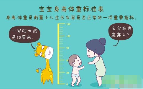超声波黄色视频茄子正确测量方法标准身高体重表 超声波黄色视频茄子正确测量方法标准身高体重表